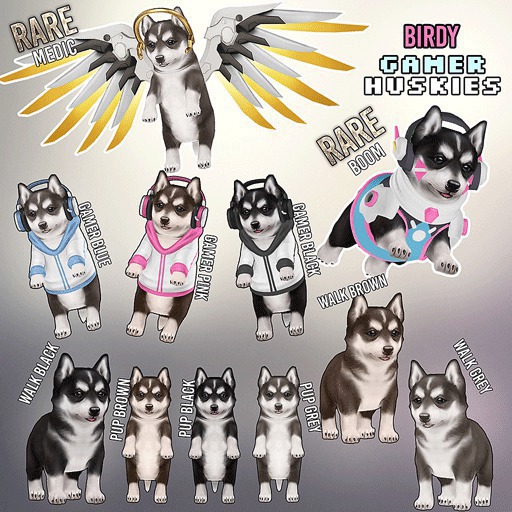 Birdy - Gamer Huskies - Boom RARE