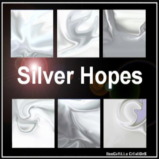 Silver Hopes and BlinG [BoX]