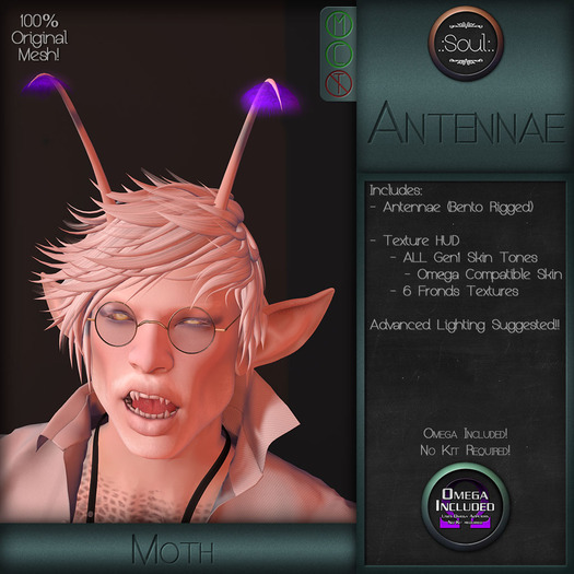 .:Soul:. Antennae - Moth