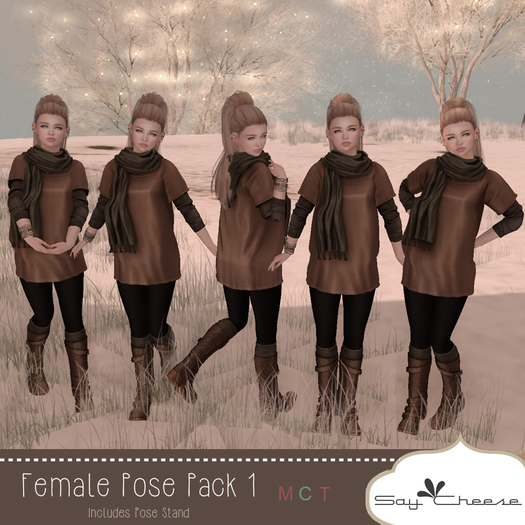 [SC] Say Cheese - Female Pose Pack 1 