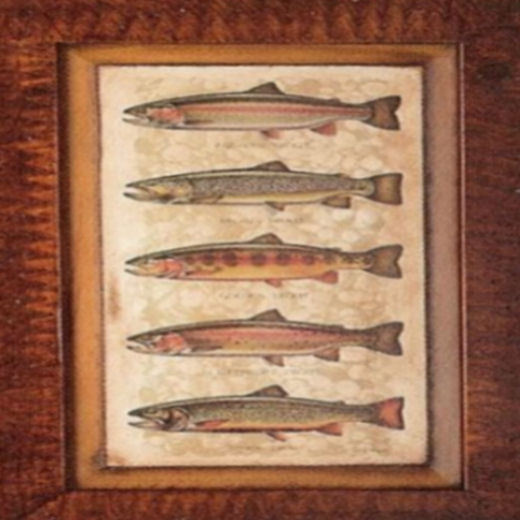 画像: 5 の淡水魚