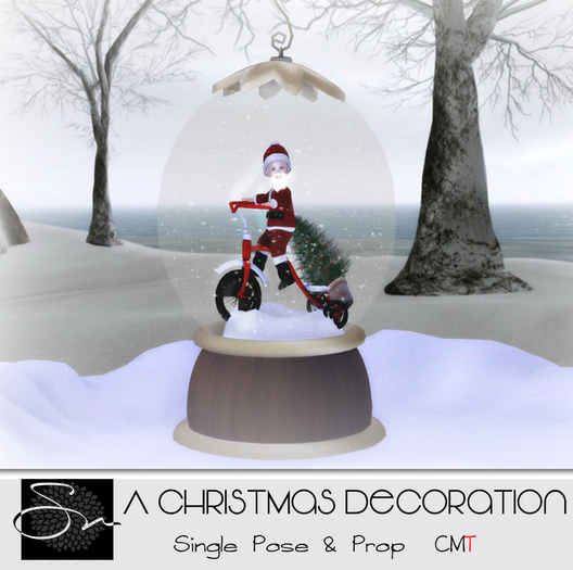 **SN~A Christmas Decoration