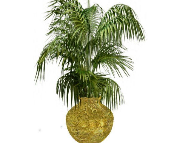 Large Fern in big vase Peacock DEMO