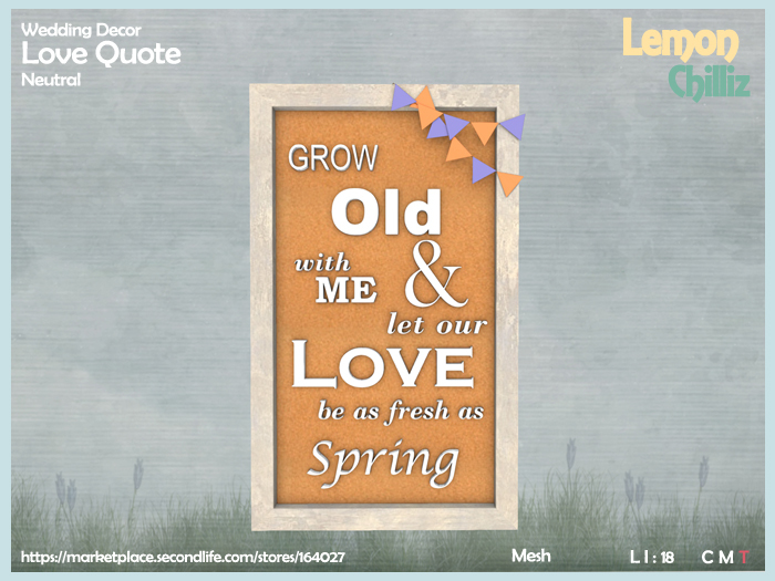 Wedding Decor - Love Quote - Neutral (Mesh) [Lemon Chilliz]