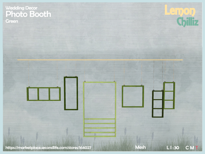 Wedding Decor - Photo Booth - Green (Mesh) [Lemon Chilliz]