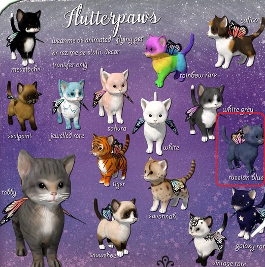 lassitude & ennui Flutterpaws russian blue cat