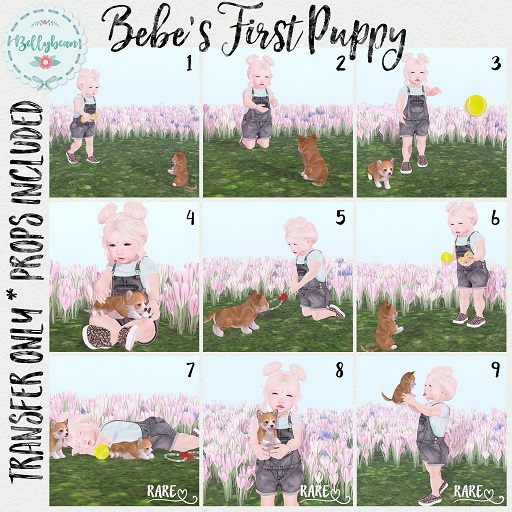 { Bellybean } Bebe's First Puppy // 7 RARE