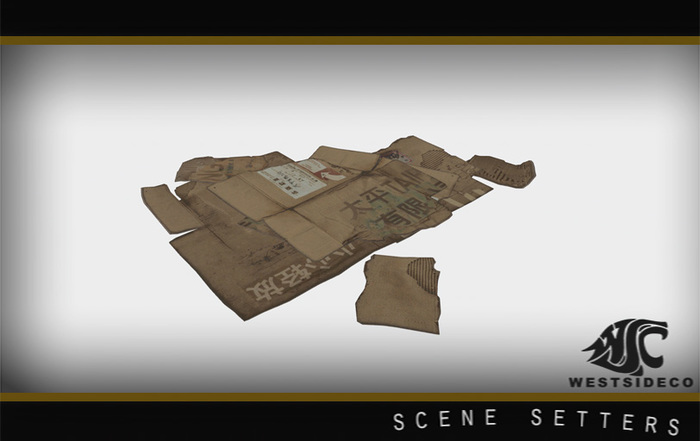 WSC - Carboard Pile