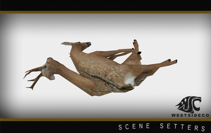 WSC - Hunted Deer