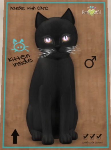 M 9T Russian - Black 10