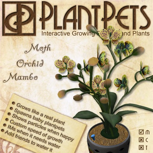 PlantPet Seed [Moth Orchid *Mambo*]