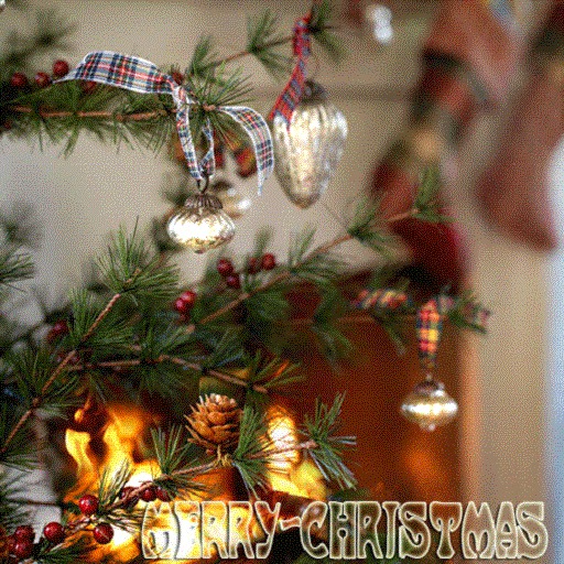 MERRY CHRISTMAS !(2)