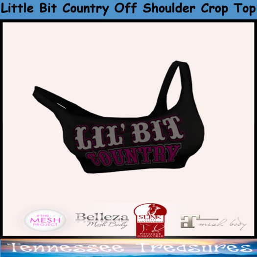 Little Bit Country Off Shoulder Crop Top