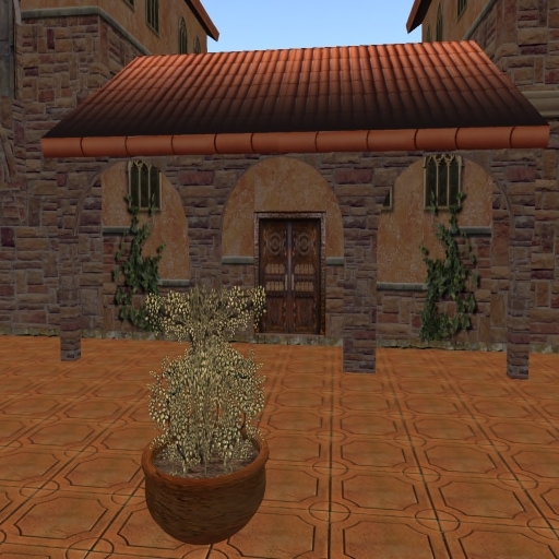 Hacienda Grande BTS