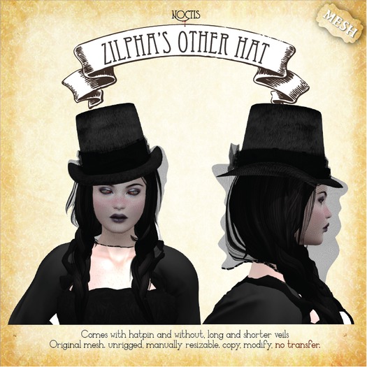 [noctis] Zilpha's other hat BOXED