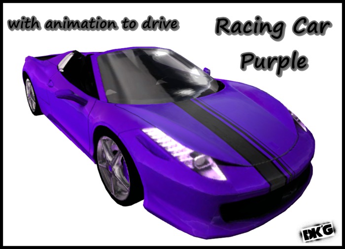 DK'G Racing Car Purple