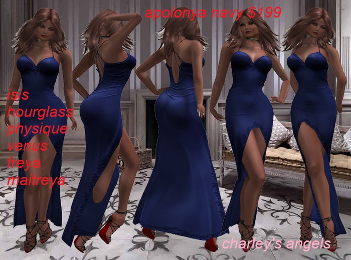 apolonya navy