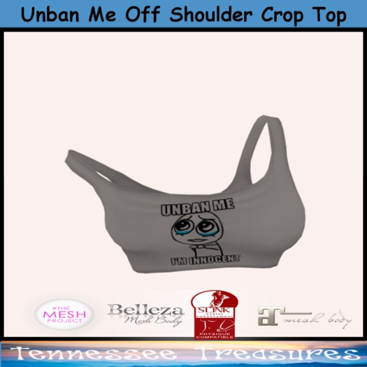 Unban Me Off Shoulder Crop Top