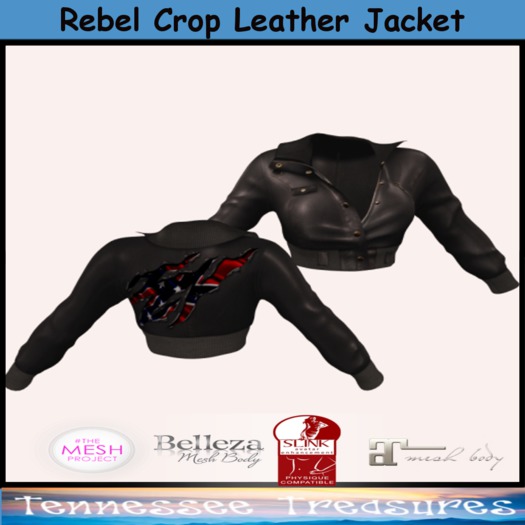 Rebel Crop Leather Jacket