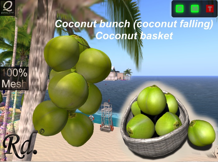 *Coconut bunch (Falling Coconut)+Coconut basket