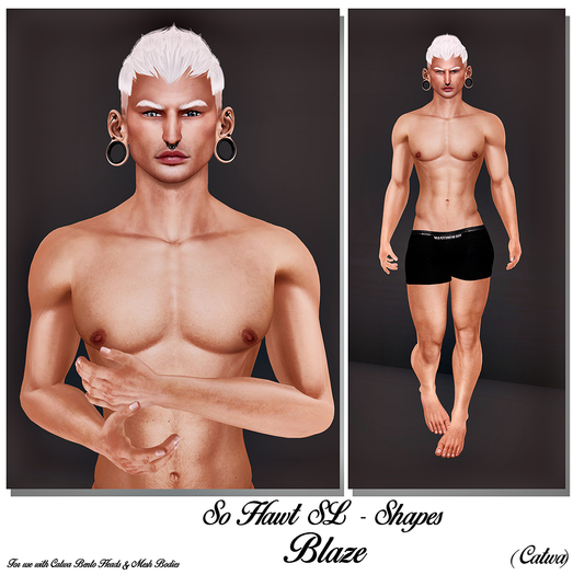 So Hawt SL Shapes - Blaze (Catwa) (DEMO)