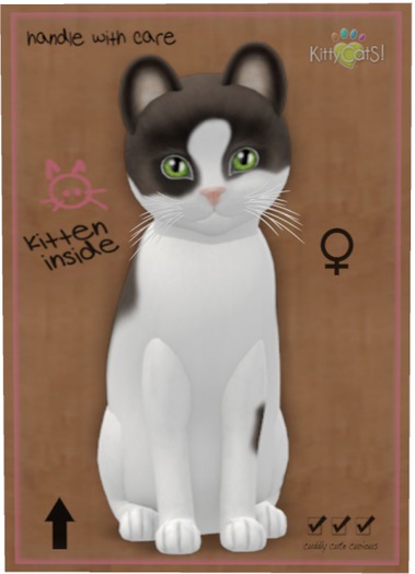 KittyCatS Box - Chateau Cat - Cocoa & White No. 2