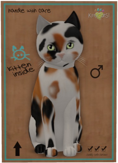 KittyCatS Box - Chateau Cat - 3 Spot No. 1
