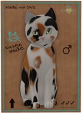 KittyCatS Box - Chateau Cat - 3 Spot No. 1