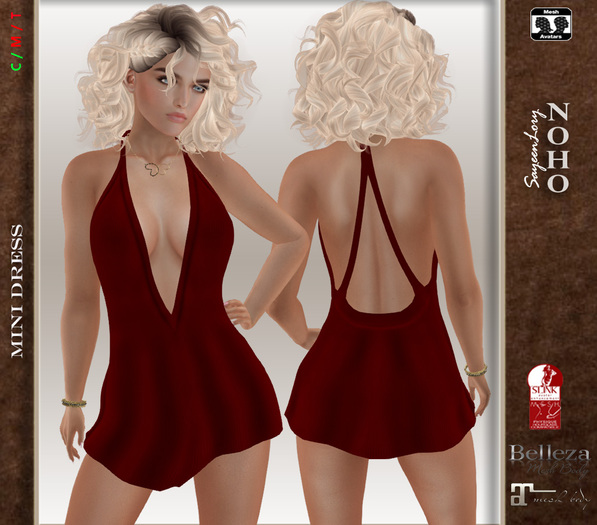NOHO Mini Dress #2 - (fitmesh box) red
