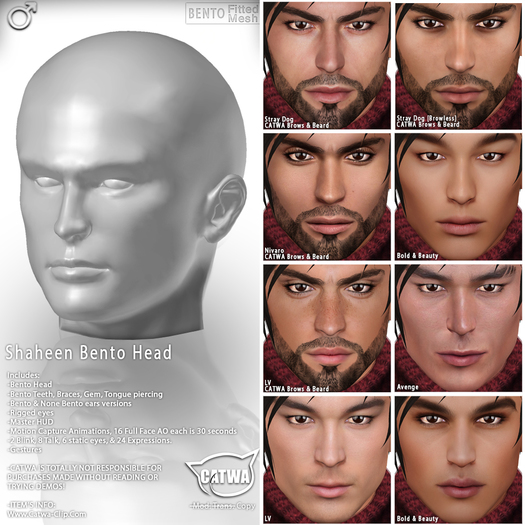 CATWA HEAD Shaheen [DEMO]