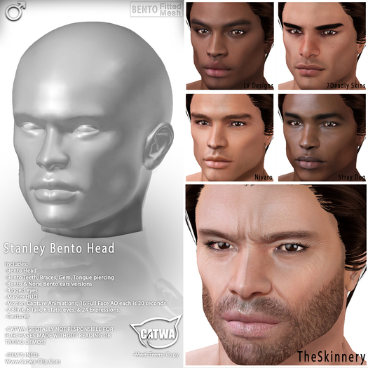 CATWA HEAD Stanley [DEMO]