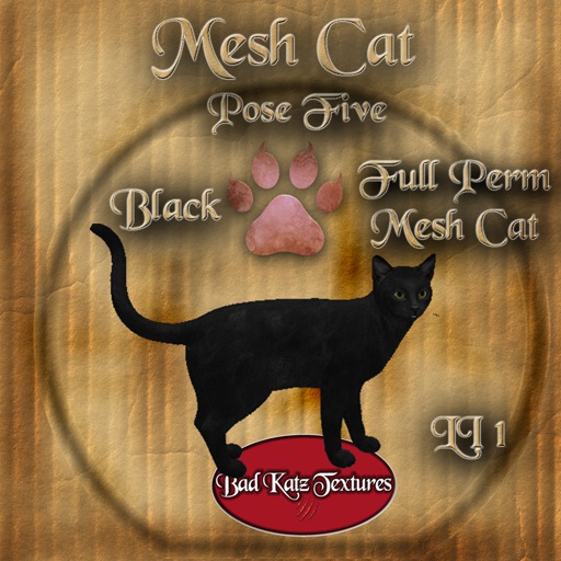 Full Perm Cat Bad Katz Mesh Cat Pose 5 Black