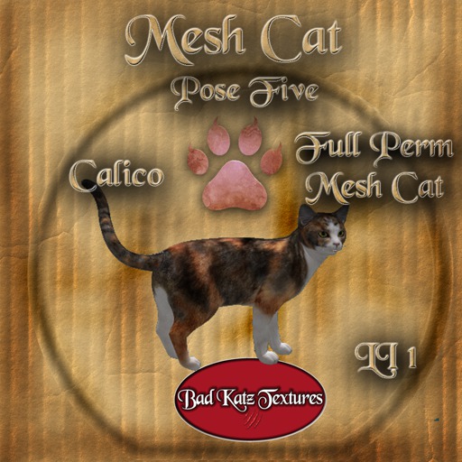 Bad Katz Mesh Cat Pose 5 Calico