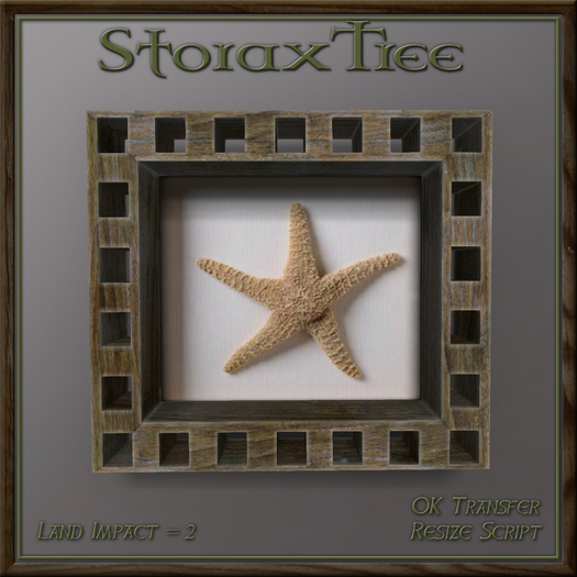 Sea Life Display Box Ca