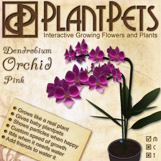 PlantPet Seed [Dendrobium Orchid *Pink*] COMMON