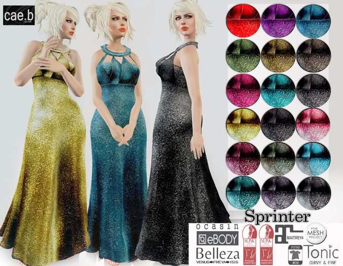 cae.b - Sprinter Gown  - Bagged with hud