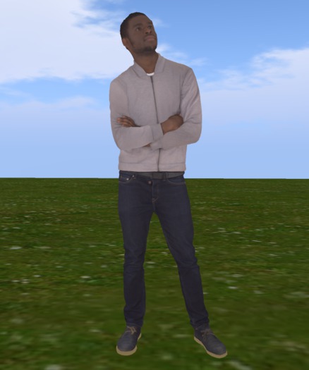 casual man mesh 5 prim