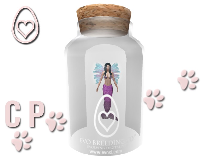 EVO*MC Fairy - #0689 Oranne (E-Rare) Ver. 2017