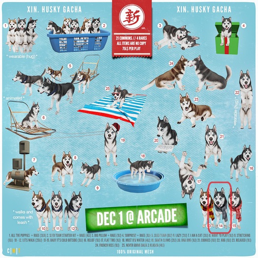 xin. panouk husky (baby it's cold outside)