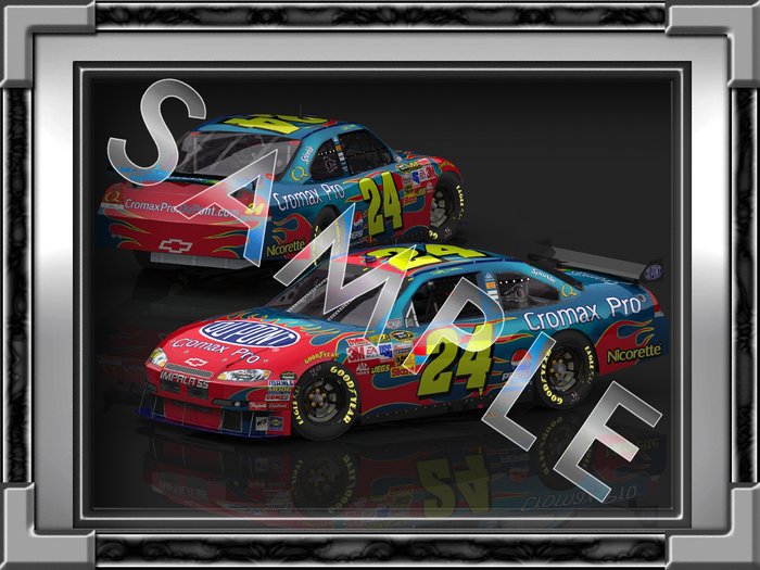Jeff Gordon Double Car Picture