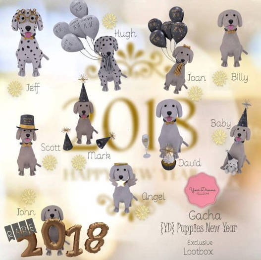 '{YD} Puppies New Year - David'