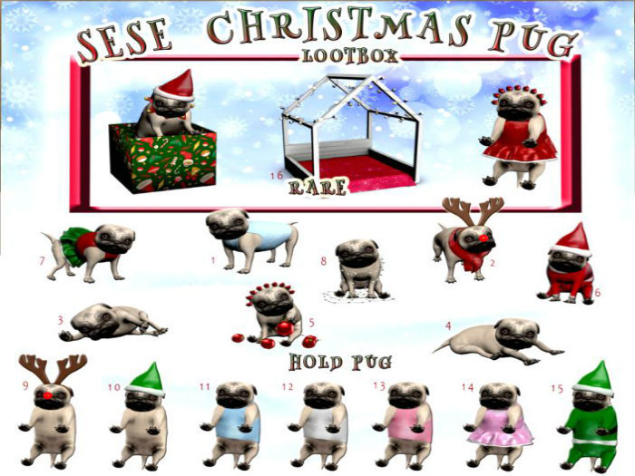 14. Sese - Christmas Pug Dress Holding'