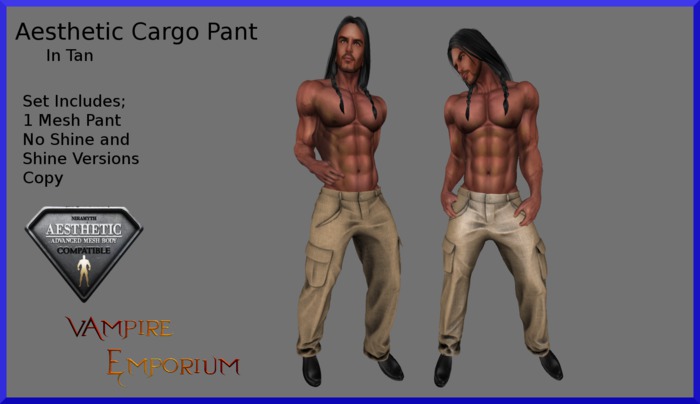 Aesthetic Tan Cargo Pant (Boxed)
