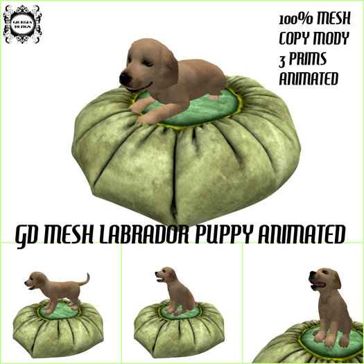 GD MESH LABRADOR PUPPY animated
