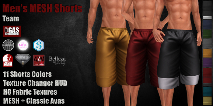 GAS [Men's MESH Shorts Team - 11 Colors with HUD] Demo