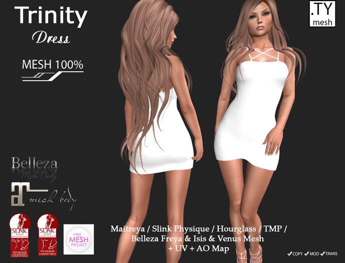 Dress Full Permissions Mesh