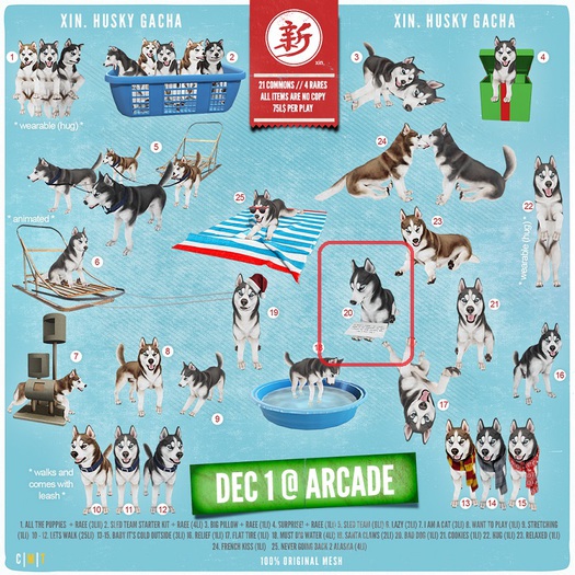 xin. panouk husky (bad dog)