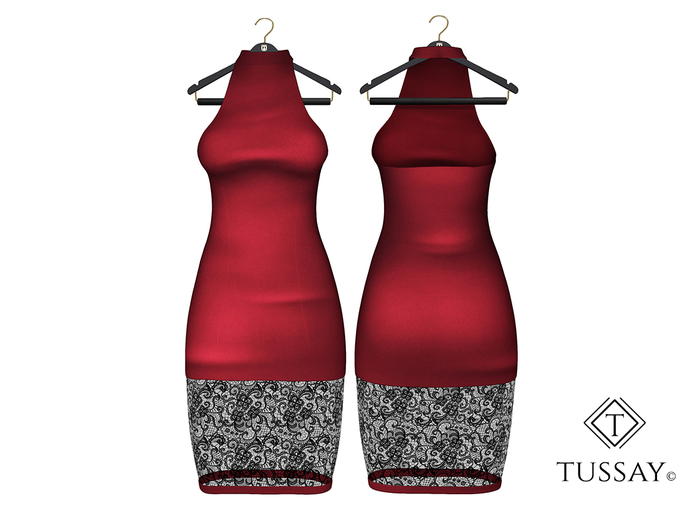 TUSSAY Sovaya Dress - Raspberry