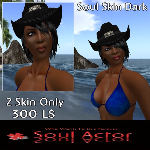 SOUL SKIN DARK