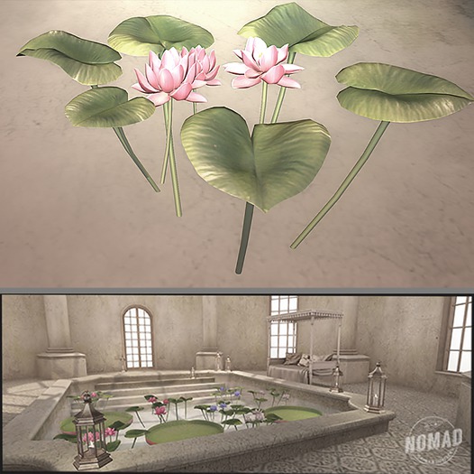 NOMAD // Lotus Pink A
